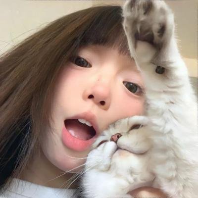 流星语海报